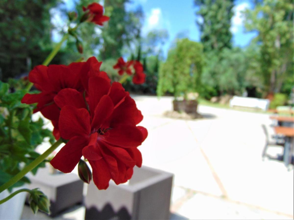 Casale Rurale Bed & Breakfast San Marco Evangelista
