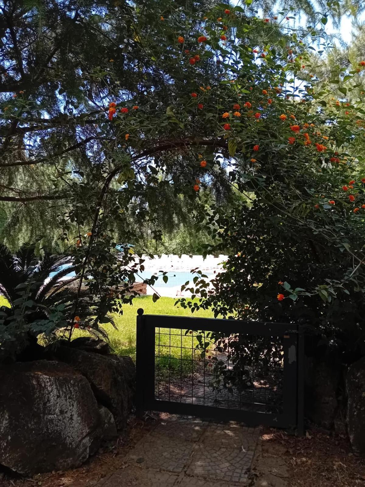 Casale Rurale Bed & Breakfast *